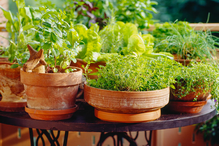 Rustic table on a porch with herbs growing in clay pots.