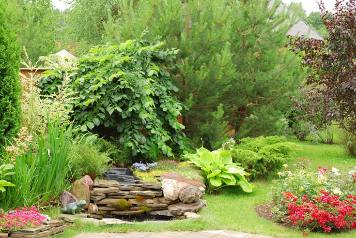 Evergreen and deciduous trees, shrubs and a small waterfall in a home garden.