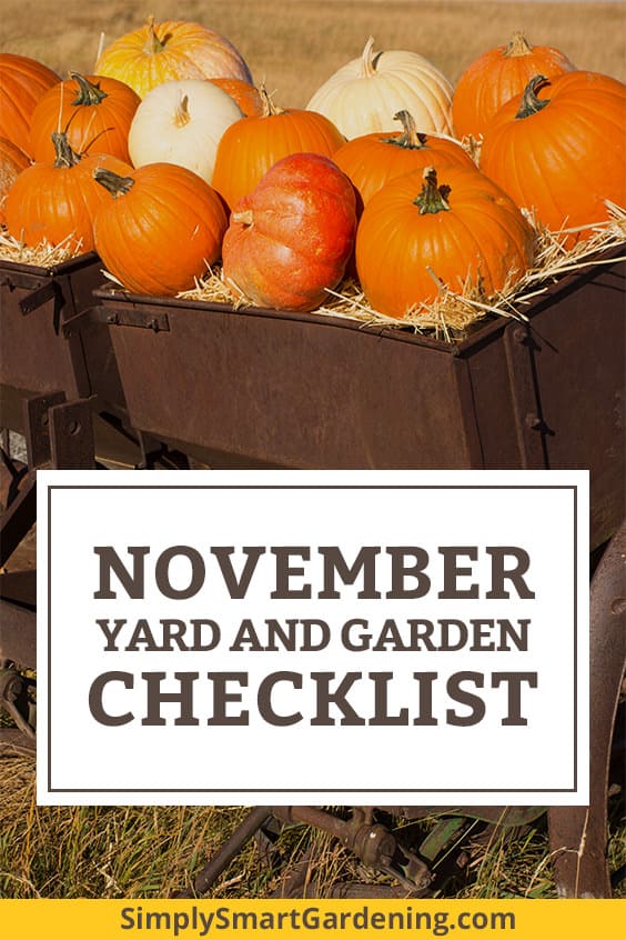 November Gardening What To Do In 2023