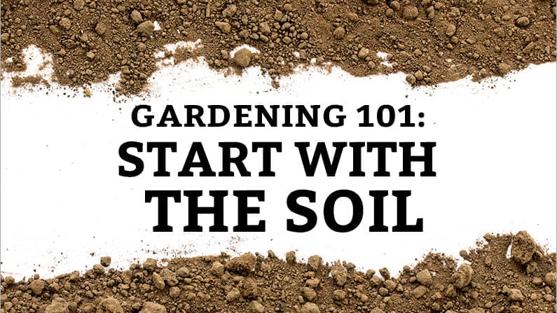 Soil Preparation: How to Create Healthy Soil