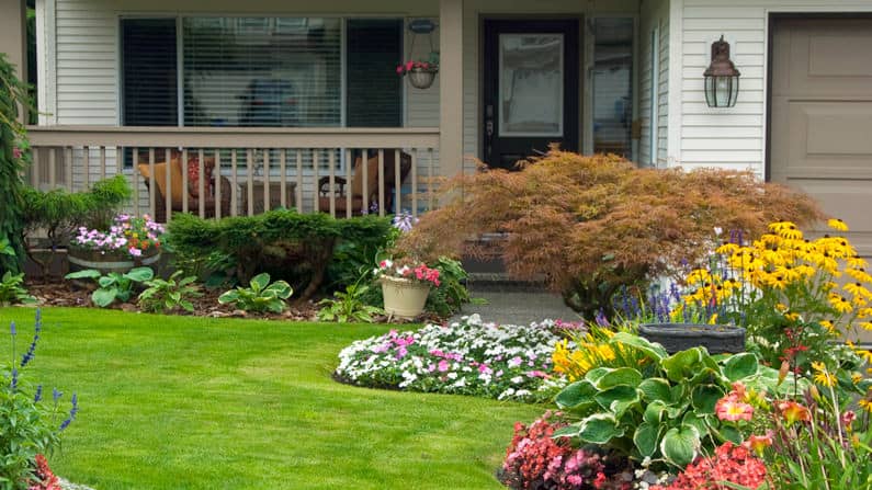 April gardening, beautiful lawn with flowers