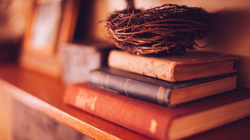 a stack of the best gardening books for beginners sitting on a mantle