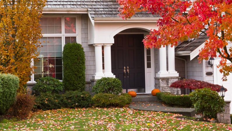 A front yard with a red malpe tree in October.