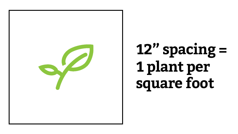 square foot garden spacing grid 12 inch spacing