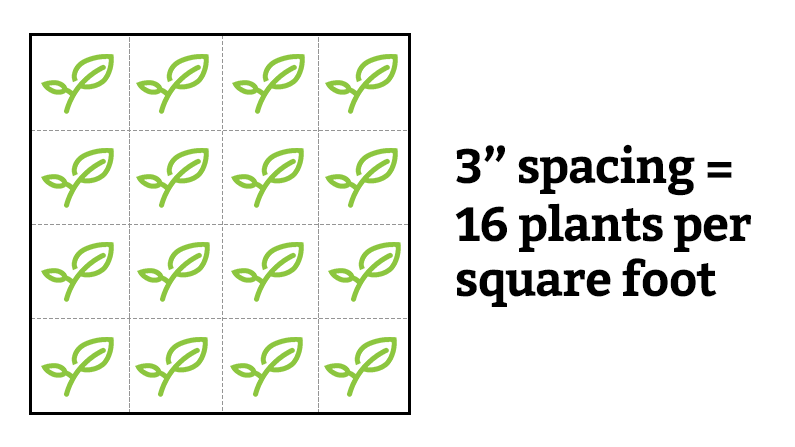 square foot garden spacing grid 3 inch spacing