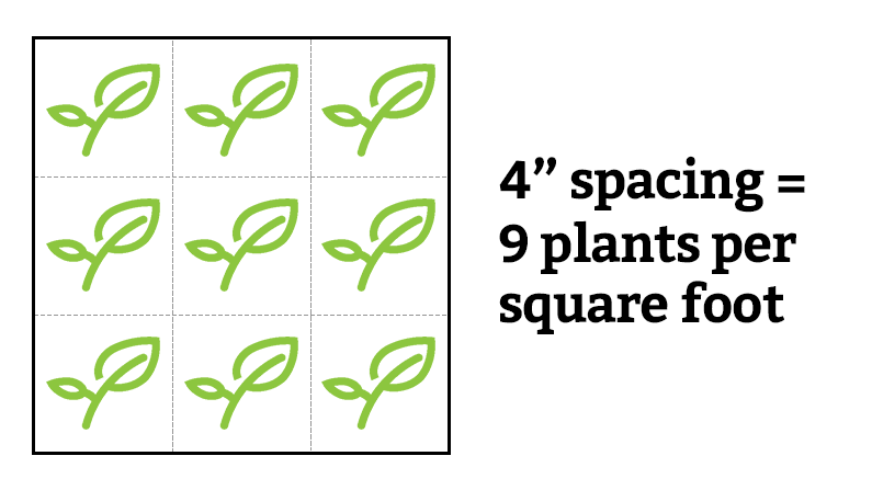 square foot garden spacing grid 4 inch spacing