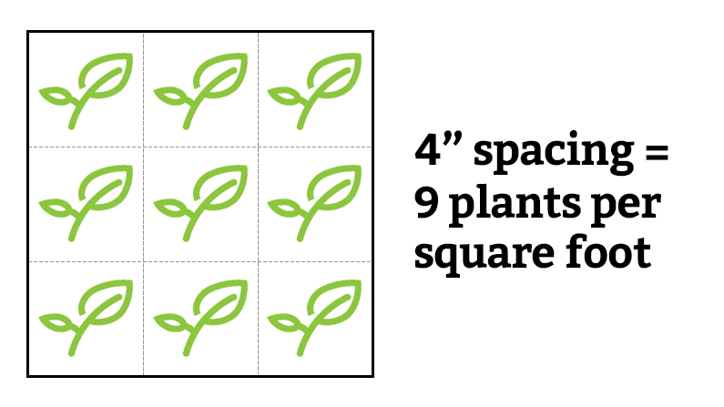 Square Foot Gardening Planting Chart