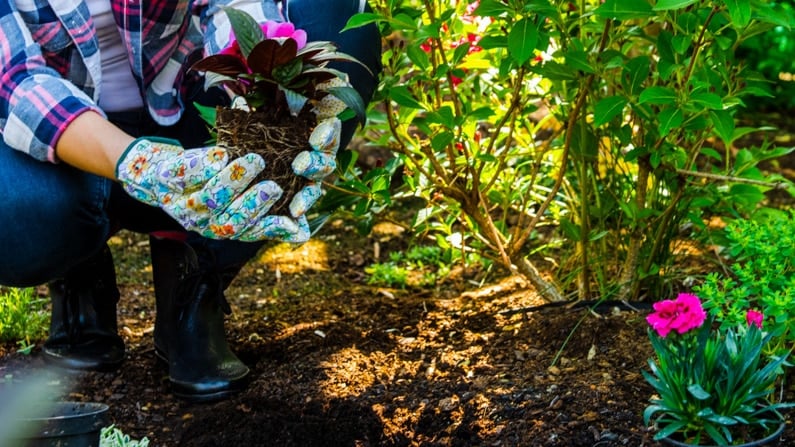 woman planting in april garden, what to plant in april