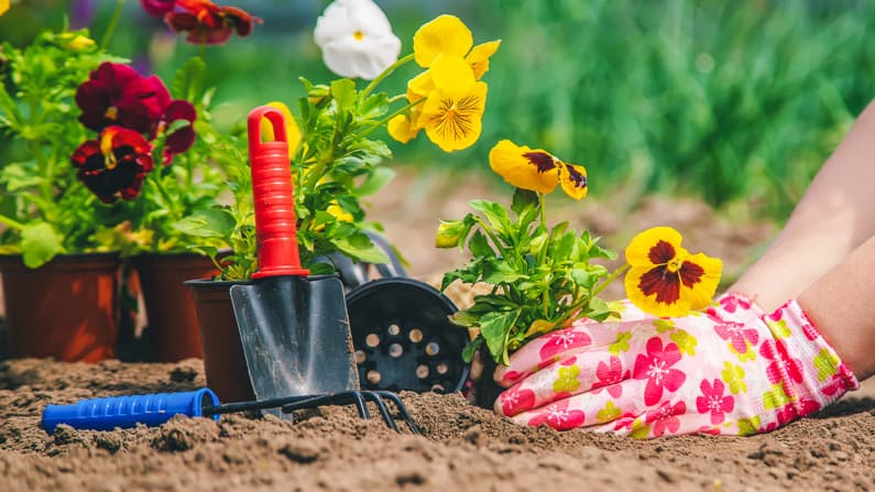 a woman planting flowers in her garden in march