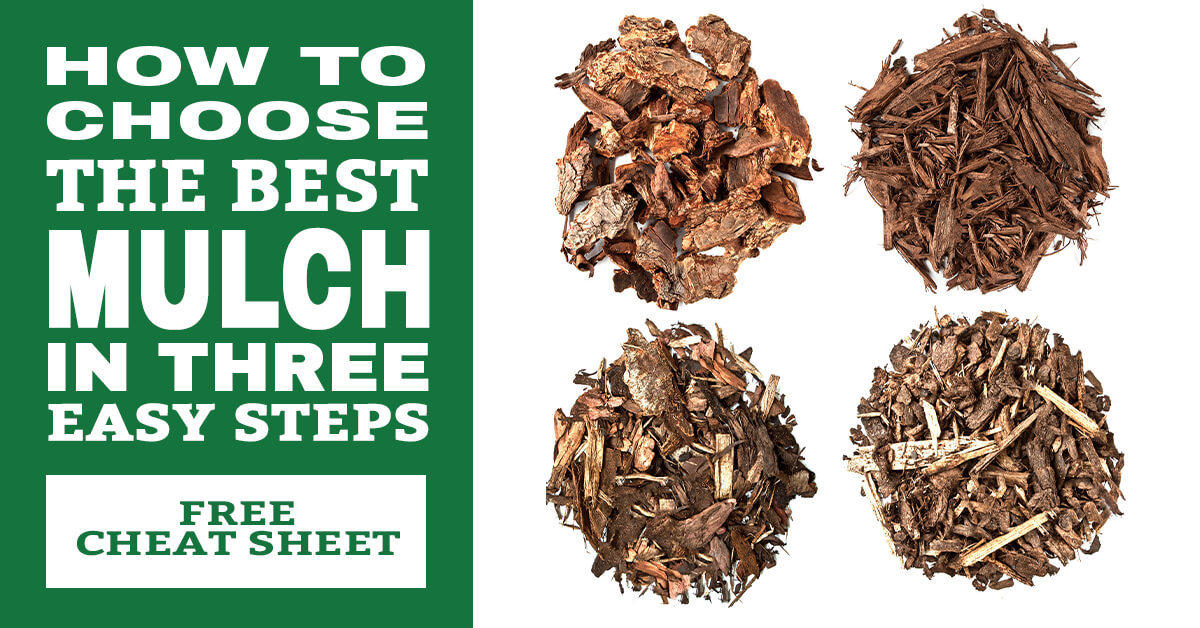 Types of Mulch - What You Need to Know
