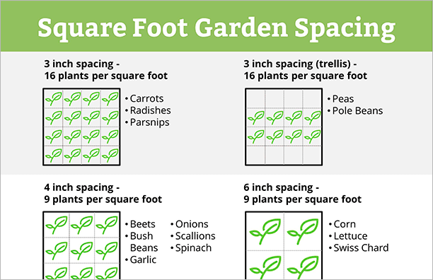 square foot garden spacing chart