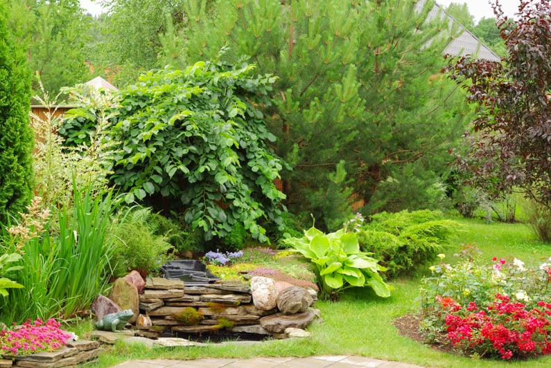 shrubs and trees in a well designed garden