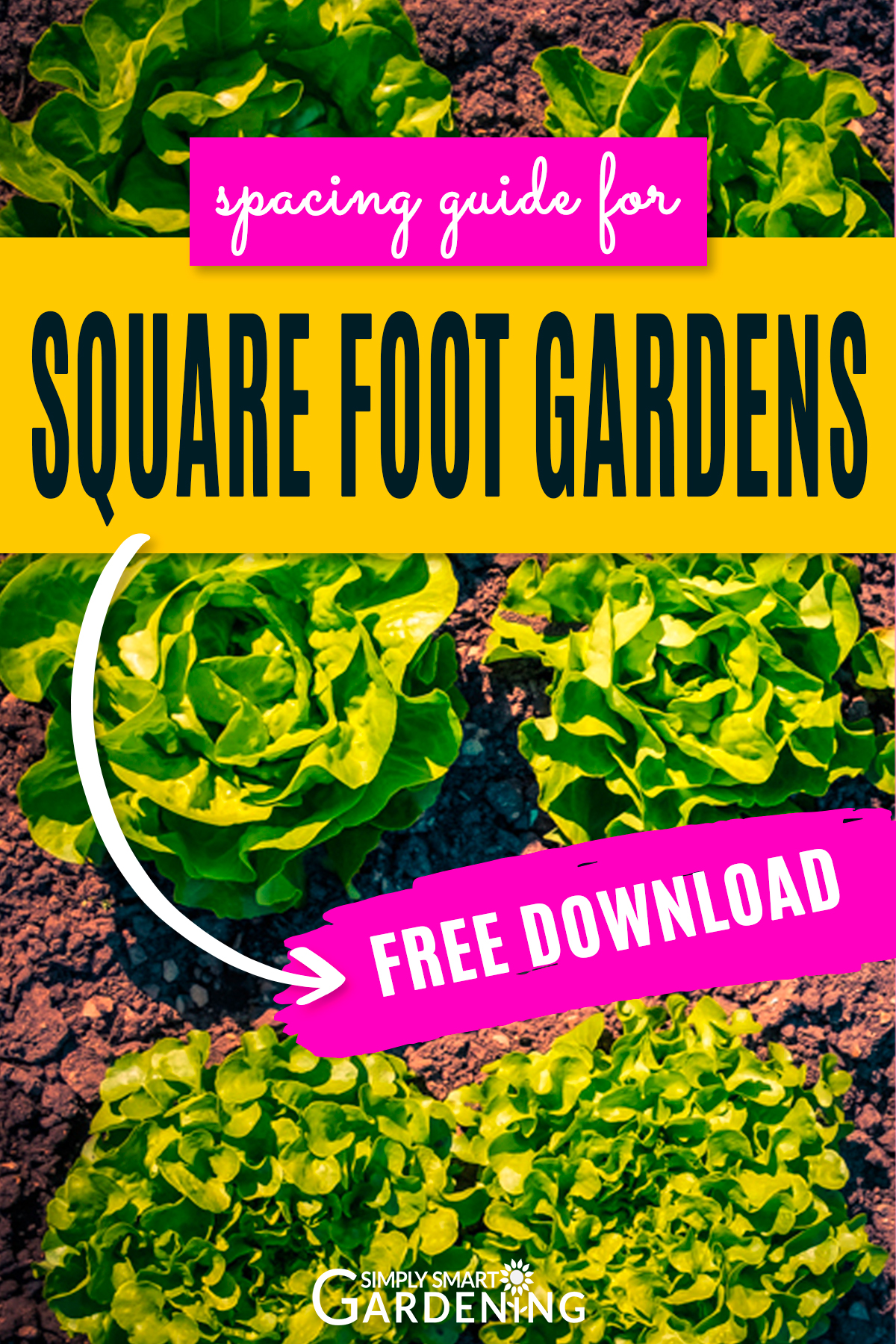 Save Time in Your Vegetable Garden When You Use Square Foot Spacing