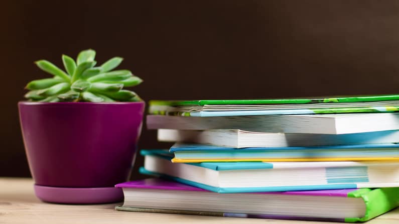 a suculent plant in a pot sitting on a desk next to a stack of books