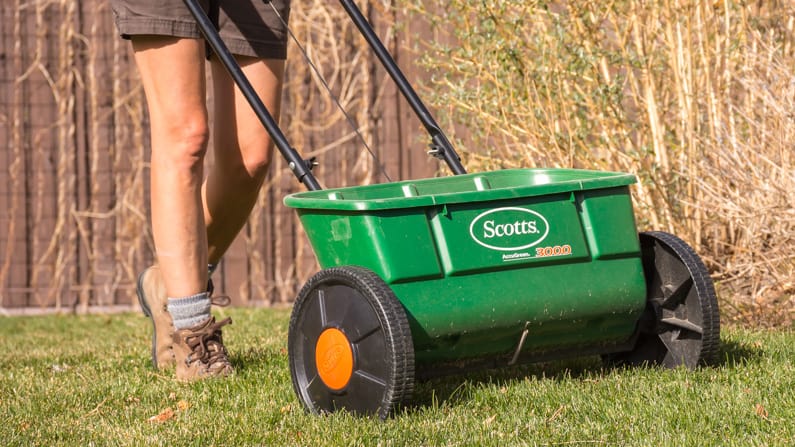 a woman fertilizing her lawn in March