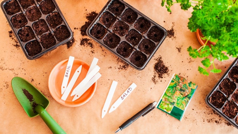 seed starting equipment and supplies on a table