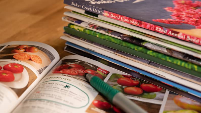 stack of free seed catalogs on a table