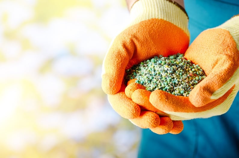 gardener holding a handful of fertilizer