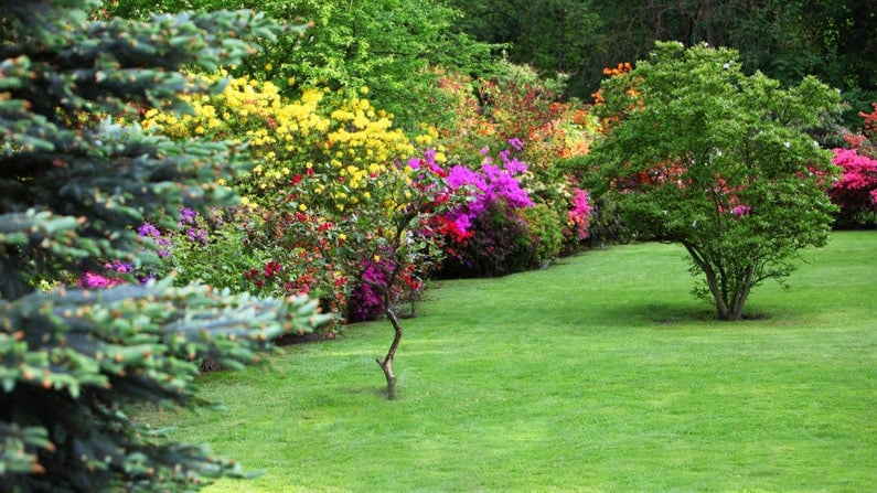 pretty summer garden landscaping