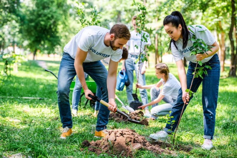 family planting trees in a park