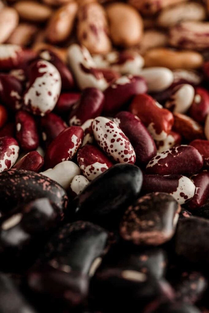 colorful bean seeds ready to plant